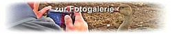 tl_files/fM_k0002/FotogalerieHinweis250.jpg