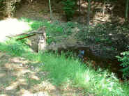 Dscf0180.jpg (31124 Byte)