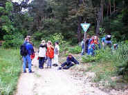 010601NAJU005.jpg (38642 Byte)