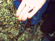 Pic018.JPG (30820 Byte)