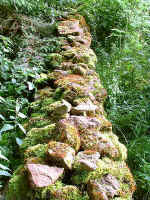 Trockenmauer.jpg (35821 Byte)