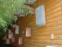 Vogelkaesten.jpg (32777 Byte)