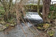 005 Unter Bruecke Wasseramsel- Nistkasten vom Vorjahr