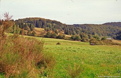 Linspherbachtal