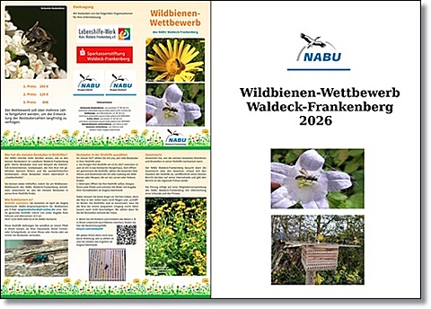 Materialien Wildbienen-Wettbewerb Materialien Wildbienen-Wettbewerb