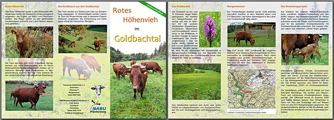 Flyer Beweidungsprojekt Goldbachtal herunterladen