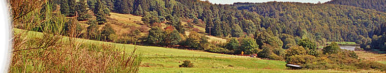 NSG Oberlauf des Linspherbaches