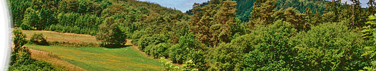 NSG Lindenhöfer Bach