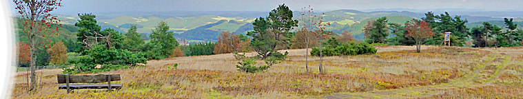 Jahrbuch Naturschutz in Hessen - Band 16