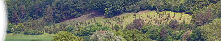 NSG Iberg bei Hörle